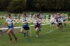 Junior men, 2016 National Cross Country Relays, Berry Hill Park, Mansfield. Photo: David T. Hewitson/Sports for All Pics